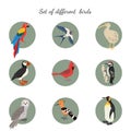 Set of birds on white background. Royalty Free Stock Photo