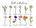 Set of Birth month flowers colored line art. Royalty Free Stock Photo