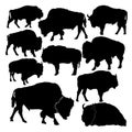 Set of bison silhouettes vector illustration Royalty Free Stock Photo