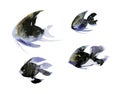 Set of black abstarct watercolor fish isolated on white background Royalty Free Stock Photo