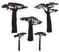 Set of black baobab tree silhouettes Royalty Free Stock Photo