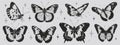 Set of black butterflies in the style of grunge stamp and organic shapes. Tattoo silhouette, hand drawn stickers, Y2k