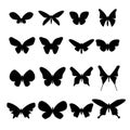 Set of black butterfly silhouettes