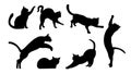 Set Of Black Cat Silhouettes Royalty Free Stock Photo