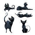 Set of black cat in various poses.