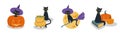 Set of black cats. A cat with burning eyes looks at you in a hat on a broomstick. The cat in the pumpkin. Brews a potion. The Royalty Free Stock Photo