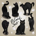A set of black cats in different poses. Collection of cat sketches for Halloween. Perfectly playing black kittens