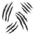 Set of black claw scratches isolated on white background. Vector illustration Royalty Free Stock Photo