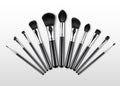 Set of Black Clean Professional Makeup Concealer Powder Blush Eye Shadow Brow Brushes with Black Handles Royalty Free Stock Photo