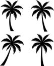 Set of Black CoconutTree Silhouettes Royalty Free Stock Photo