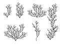 Set of black coral seaweeds silhouettes flat vector illustration isolated on white background