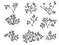 Set of black coral seaweeds silhouettes flat vector illustration isolated on white background