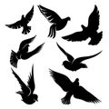 Set of black doves in flight.