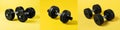 Set of black dumbbells pairs on yellow background. Professional sport equipment. Rubber fitness weights for home training. Home