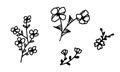 Set of black floral doodles. Flowers variety, hand drawn with liner. Spring themed sketch elements Royalty Free Stock Photo