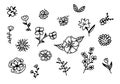 Set of black floral doodles. Flowers variety, hand drawn with liner. Spring themed sketch elements Royalty Free Stock Photo