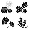 Set of black flower design elements Royalty Free Stock Photo