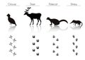 Set of Black Forest Animals and Birds Silhouettes: Grouse, Deer, Royalty Free Stock Photo