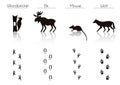 Set of Black Forest Animals and Birds Silhouettes: Woodpecker, E