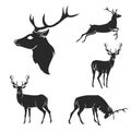 Set of black forest deer silhouettes. Suitable for Royalty Free Stock Photo