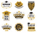 The set of black and gold colored senior text signs with the Graduation Cap, ribbon vector illustration. Class of 2018