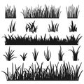 Set of black grass silhouettes isolated on white background. Grass heights design elements of nature. Template for Royalty Free Stock Photo