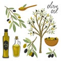 Set of black and green olives and bottles of olive oil, olive tree isolated on white background. Vector graphics Royalty Free Stock Photo
