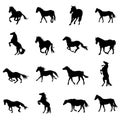 Set of black horses silhouettes on white background Royalty Free Stock Photo