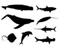 Set of black isolated contour silhouettes of fish, whale, cachalot, sperm-whale, shark,