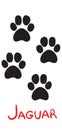 Set of black jaguar tracks, icon, isolated object on white background, vector illustration,