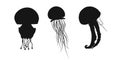 Set black jellyfish, medusa, sea jelly or nettle-fish sign icon on white background. Vector clipart illustration