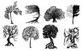 A set of black line-style trees. Royalty Free Stock Photo