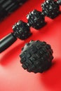 Set of Black lumpy foam massage roller, body roller, rubber ball on red background Royalty Free Stock Photo
