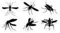 Set of black mosquitoes on white background. Illustration Royalty Free Stock Photo