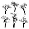 Set of black naked trees silhouette set. Hand drawn isolated.