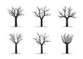 Set black naked Trees. Vector Illustration.