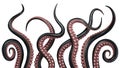 A set of black octopus tentacles. Isolated underwater monster. 3D rendering. Royalty Free Stock Photo