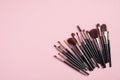 Set of black professional makeup brushes on pink background. Flat lay, top view. Makeup shop banner design