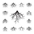 Set of Black Roots. Vector Illustration.