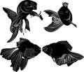 Set black silhouette goldfish isolated on white background