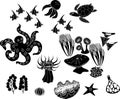 Set of black silhouettes of different marine animals Royalty Free Stock Photo