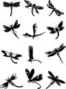 Set of black silhouettes dragonflies on white background.Vector illustration