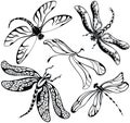 Set of decorative silhouettes dragonflies