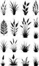 set of black silhouettes of grass, illustration Royalty Free Stock Photo