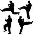 Set of black silhouettes of karate. Sport vector Royalty Free Stock Photo