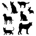 Set of black silhouettes of pets. Royalty Free Stock Photo