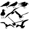 Set black silhouettes of seagulls on white Royalty Free Stock Photo