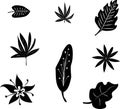 Set of black silhouettes of tropical leaves palm, trees, plants. Vector illustration. Royalty Free Stock Photo