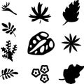 Set of black silhouettes of tropical leaves palm, trees, plants. Vector illustration. Royalty Free Stock Photo