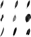 Set of black silhouettes of tropical leaves palm, trees, plants. Vector illustration. Royalty Free Stock Photo